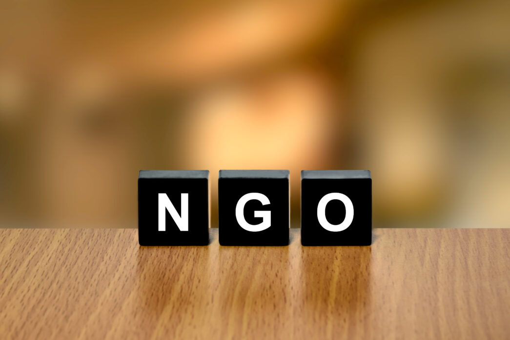 ngo examples